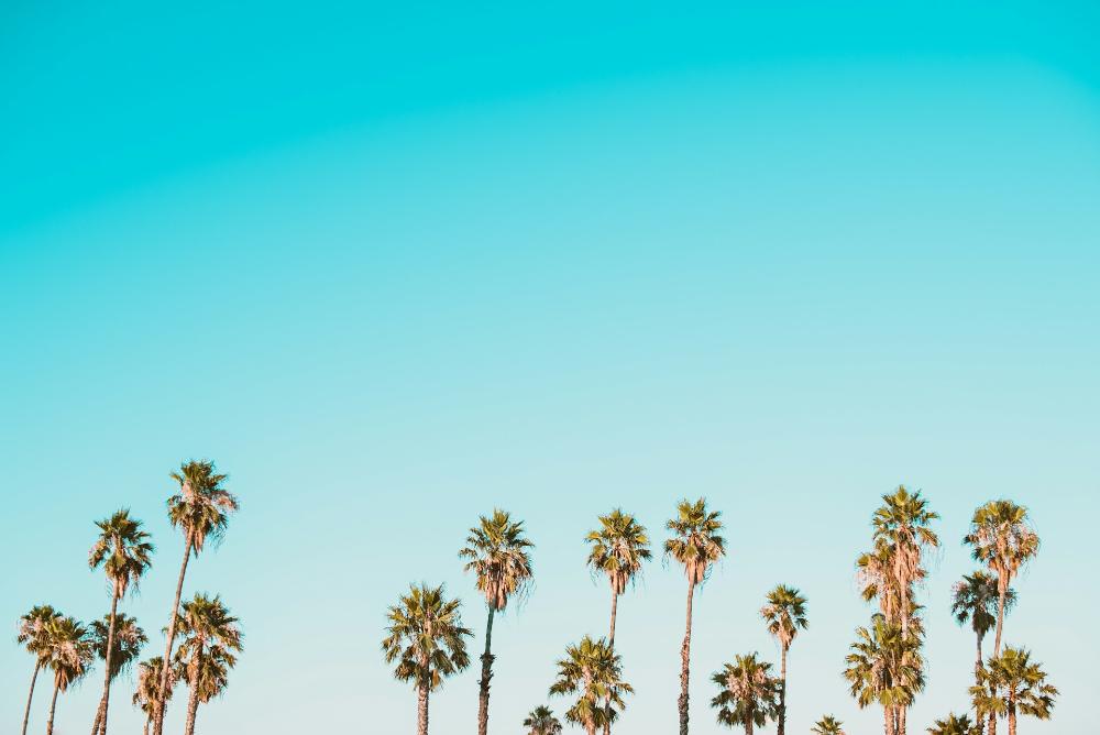Miami to Orlando Car Service